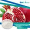Pomegranate has been used for thousands of years in traditional medicine due to its high content of antioxidants and other beneficial compounds.